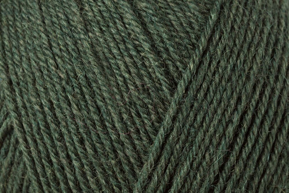 01994 loden | €11.95