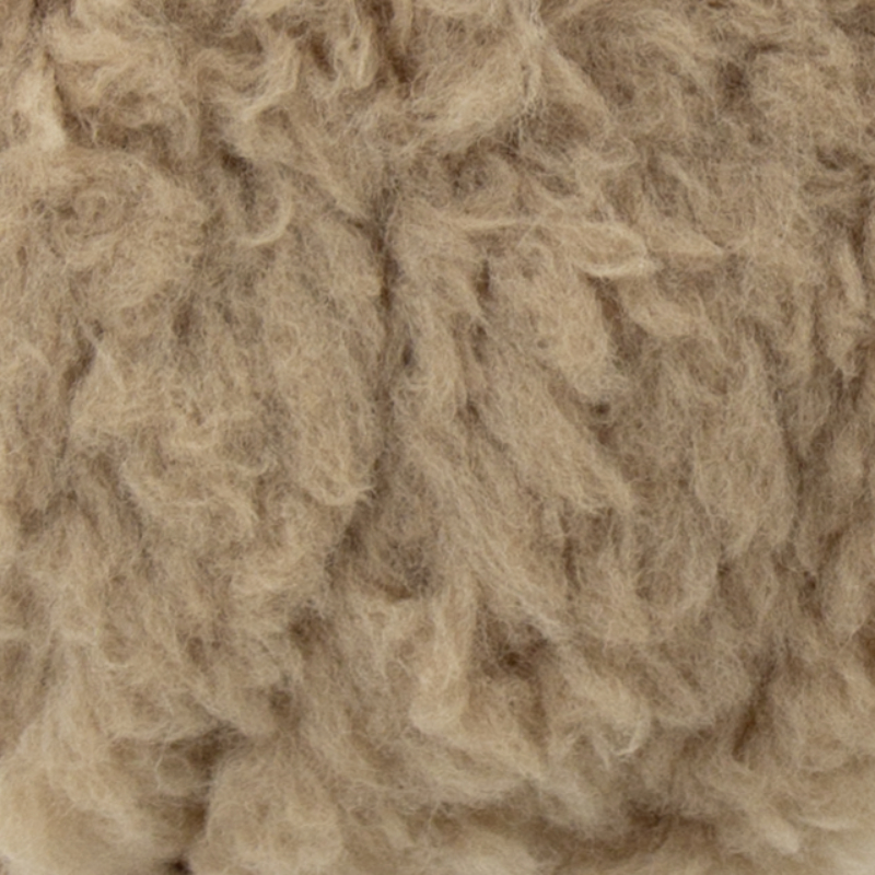 0012 - camel | €1.00