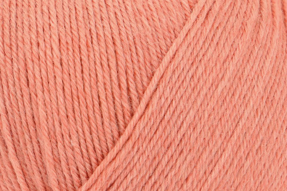 00032 apricot | €15.50