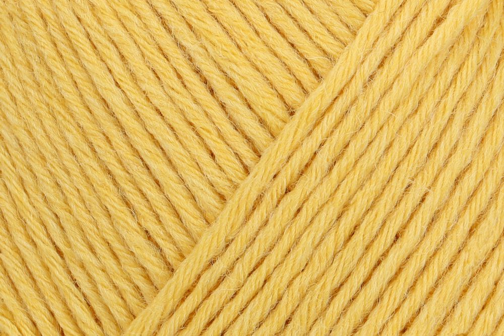 01049 banane | €11.95