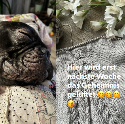 Damenshirt Halbmond | Einzelanleitung | Stricken | Sylvie Rasch
