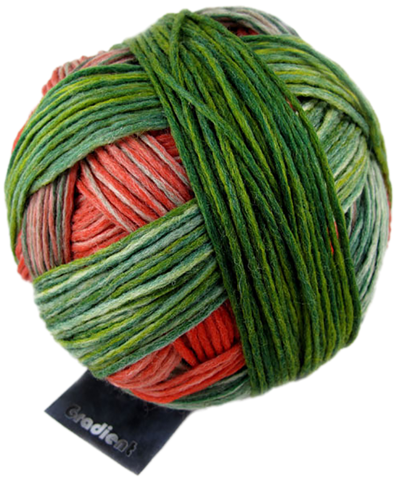 1701 - Papagei | 15,95 €
