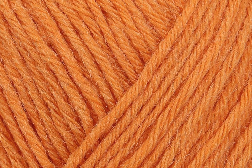 01054 kürbis | €5.25