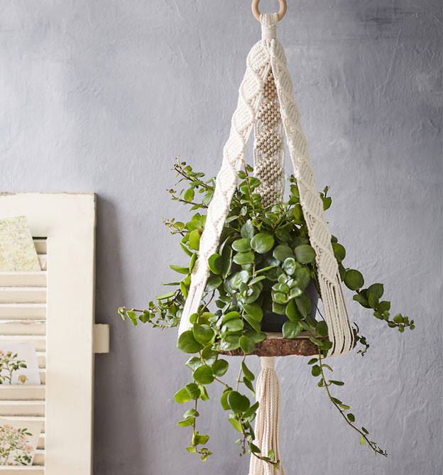 Makramee Blumenampeln