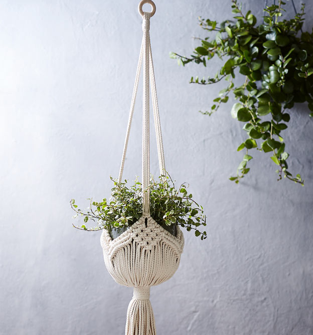 Makramee Blumenampeln