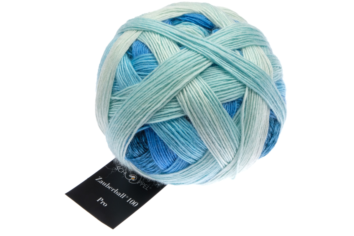 Zauberball® 100 von Schoppel PRO - 2507 - Überdosis