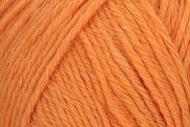 1054 - kürbis | €7.95