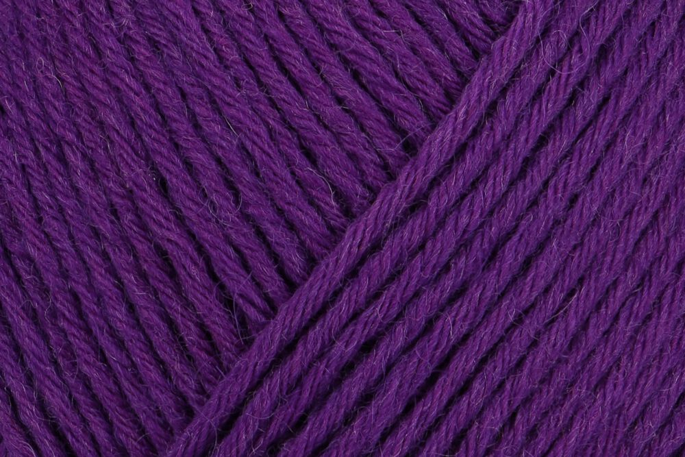 01050 violett | €11.95