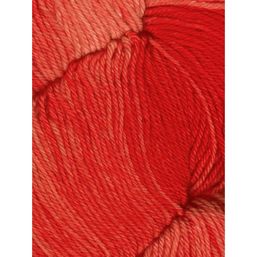 Huasco Sock Kettle Dyes von Araucania Yarns 1009 - Scarlet
