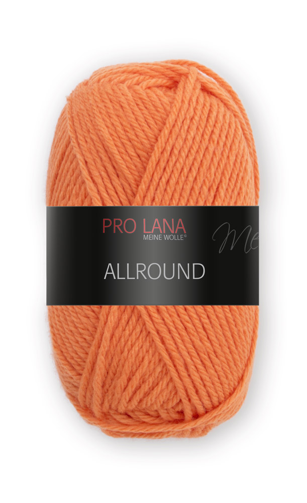 Allround von Pro Lana 0027 - orange