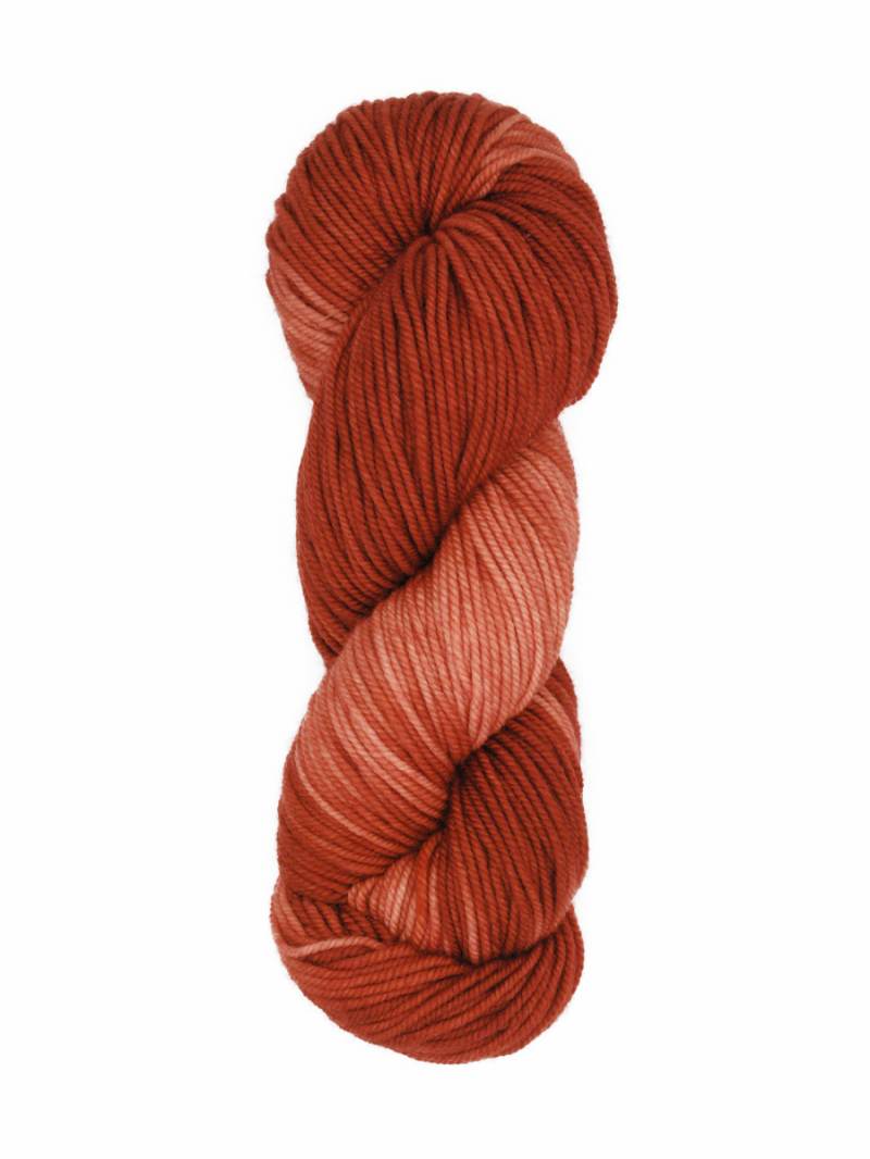 Huasco Aran Kettle Dyes von Araucania Yarns 0016 - Amber