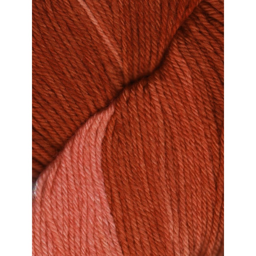 Huasco Sock Kettle Dyes von Araucania Yarns 1011 - Jasper
