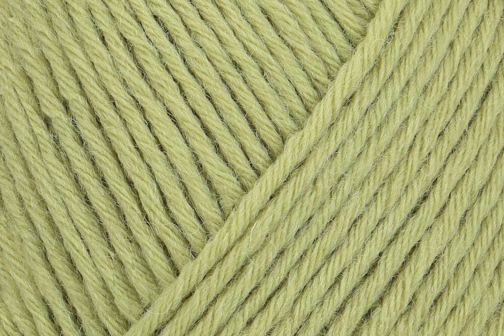 01048 pistazie | €11.95