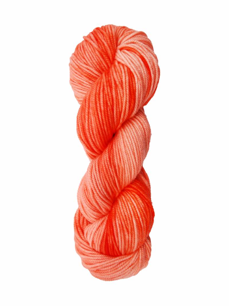 Huasco Aran Kettle Dyes von Araucania Yarns 0002 - Persimmon