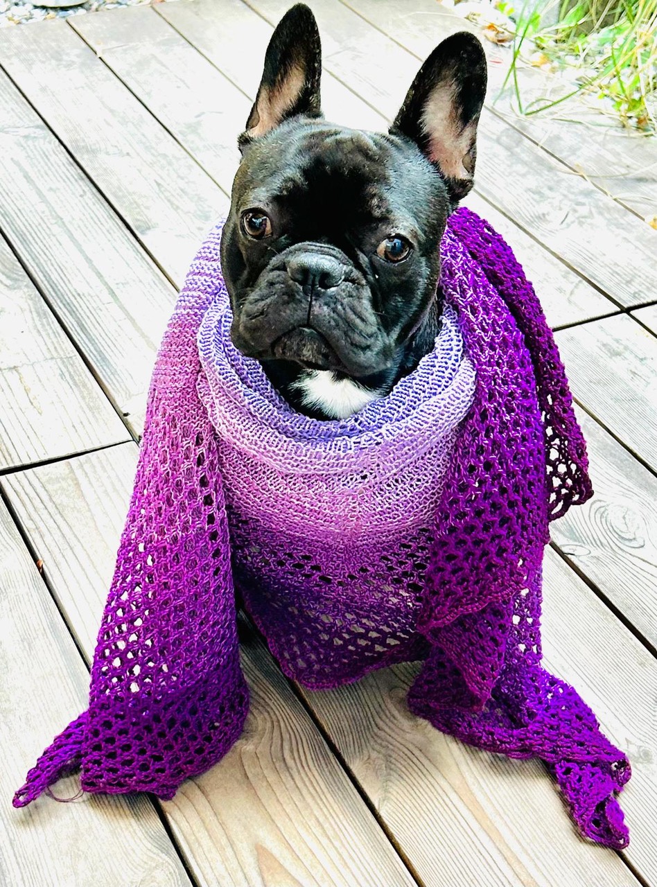 Fledermaustuch Sterntaler | Einzelanleitung | Wolle Bobbel Cotton XXL | Stricken | Sylvie Rasch Fledermaustuch Sterntaler | Einzelanleitung | Wolle Bobbel Cotton XXL | Stricken | Sylvie Rasch
