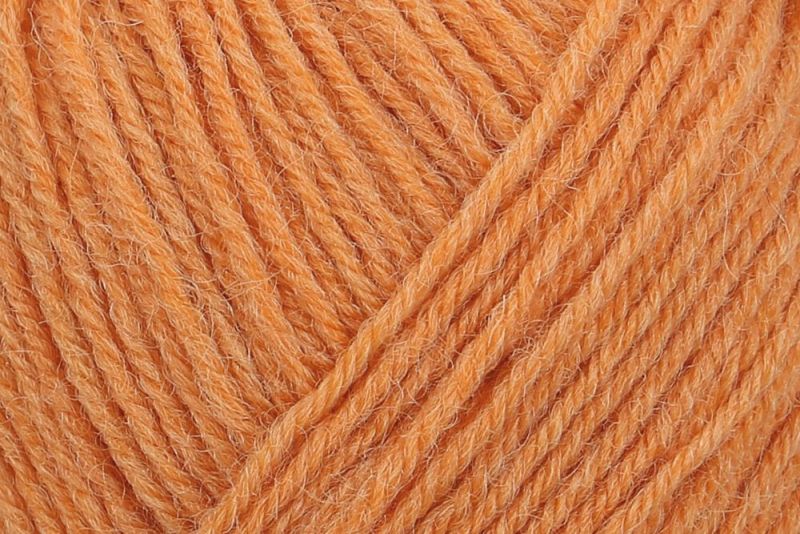 01054 kürbis | €5.25