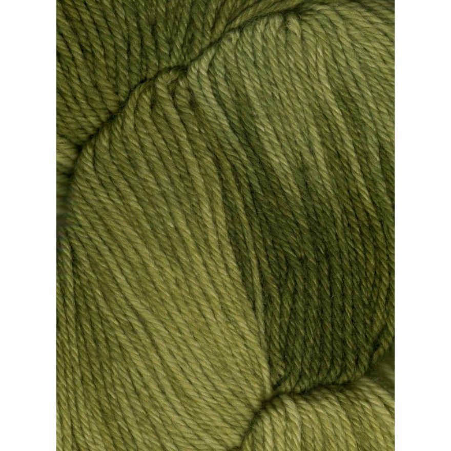 Huasco Sock Kettle Dyes von Araucania Yarns 1002 - Cardamon