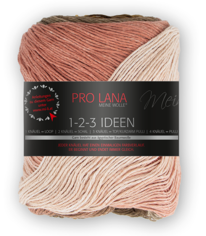 1-2-3 Ideen von Pro Lana 0011 - wüste