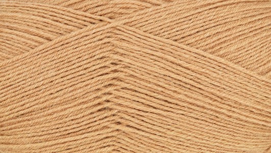 0069 - camel | 7,50 €