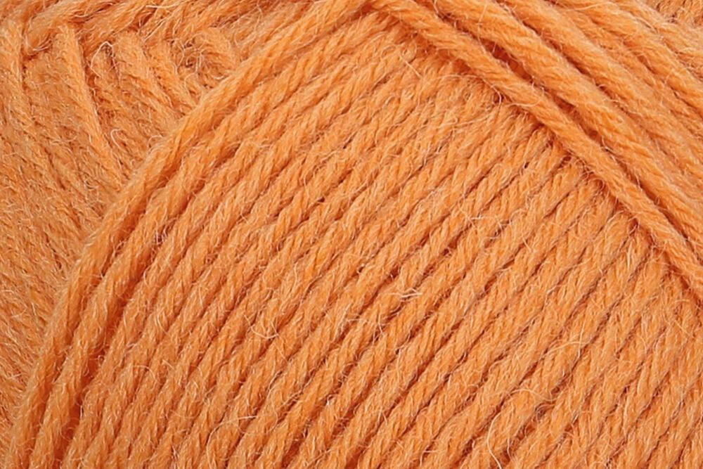 01054 kürbis | €11.95