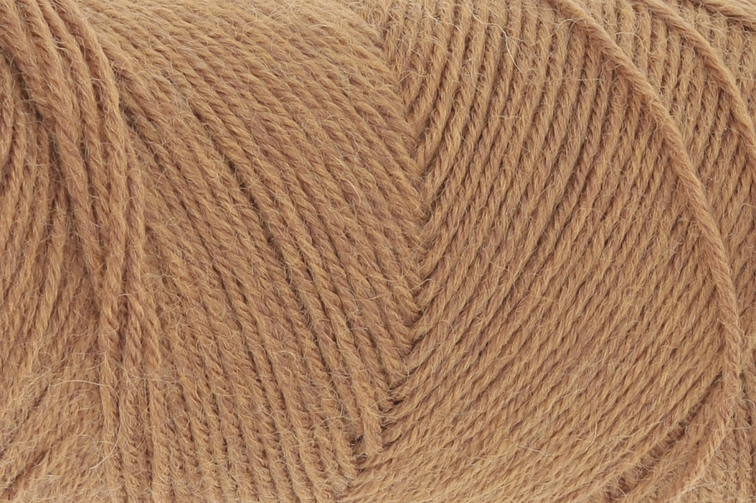 0339 - Camel | €3.25