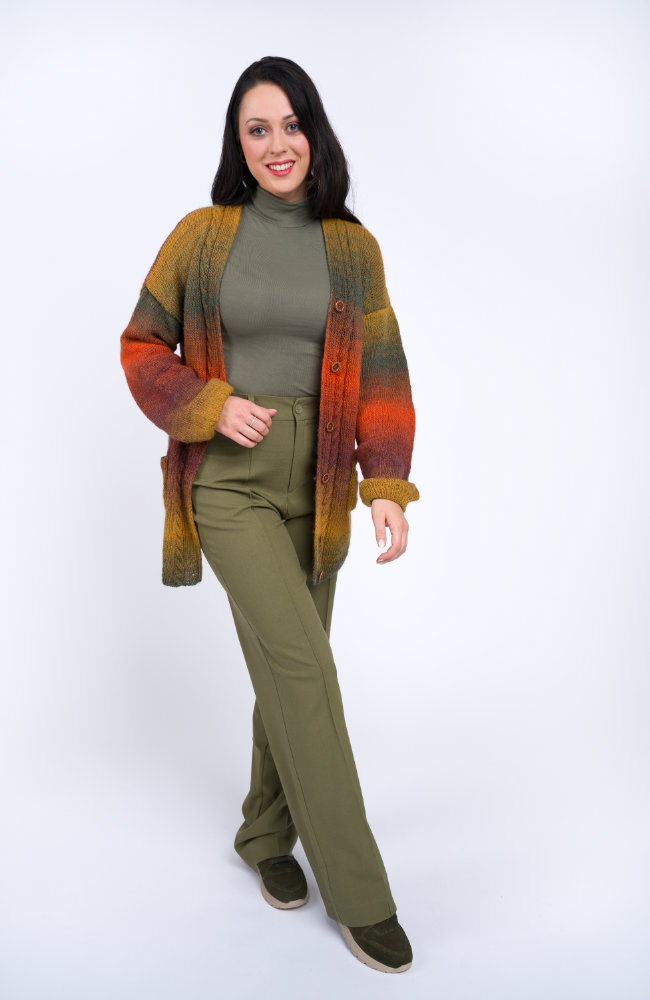 Jacke mit Zopfstreifen | Anleitungsheft | Wolle Diamant  | Stricken | Pro Lana