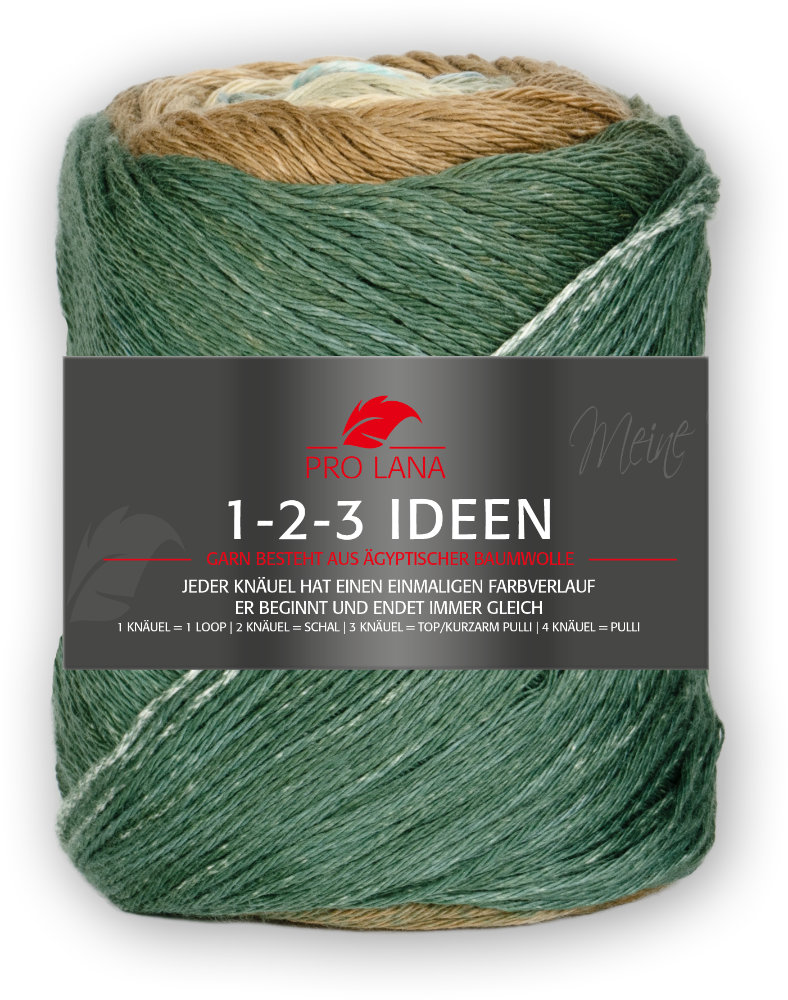 1-2-3 Ideen von Pro Lana 0017 - grün / beige