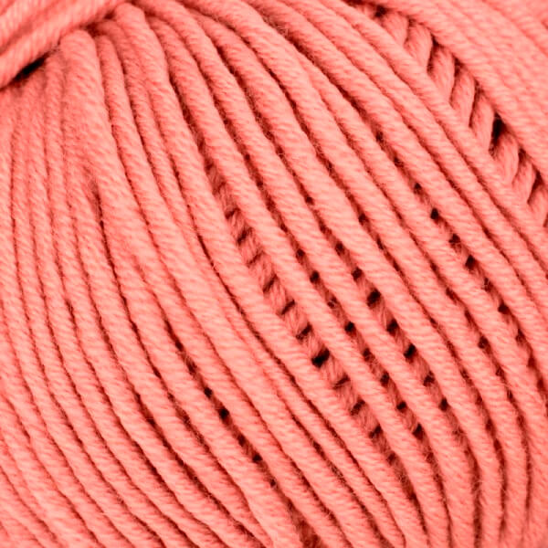 0067 - lachs | 2,38 €
