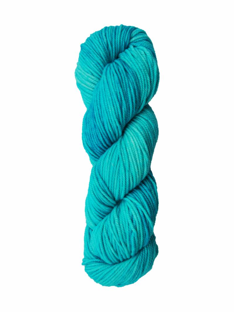 Huasco Aran Kettle Dyes von Araucania Yarns 0006 - Turquoise