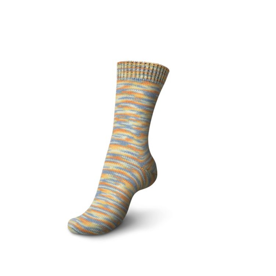 01261 variegata | €8.50